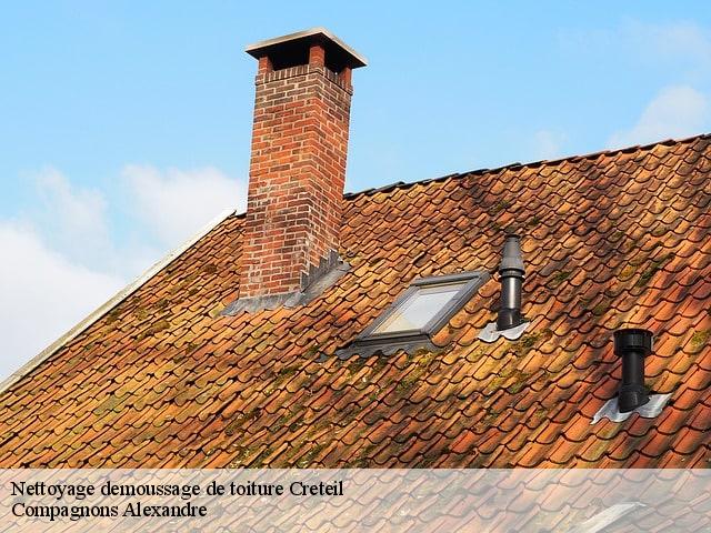 Nettoyage demoussage de toiture  creteil-94000 Compagnons Alexandre