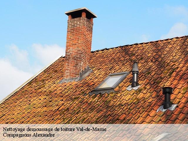 Nettoyage demoussage de toiture 94 Val-de-Marne  Compagnons Alexandre