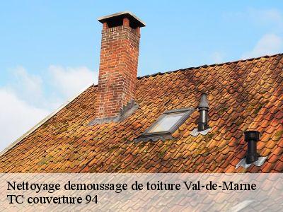 Nettoyage demoussage de toiture 94 Val-de-Marne Compagnons Alexandre