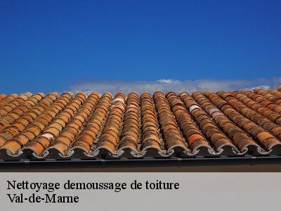 Nettoyage demoussage de toiture Val-de-Marne 