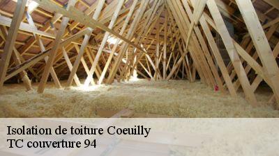 Isolation de toiture coeuilly-94500 Compagnons Alexandre