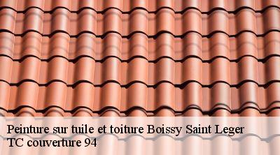 Peinture sur tuile et toiture boissy-saint-leger-94470 Compagnons Alexandre
