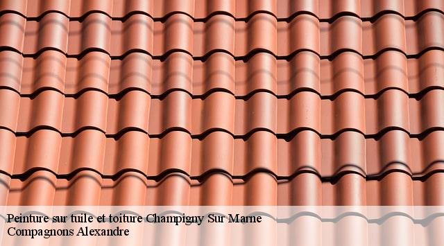 Peinture sur tuile et toiture  champigny-sur-marne-94500 Compagnons Alexandre