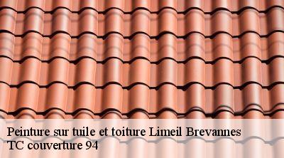 Peinture sur tuile et toiture limeil-brevannes-94450 Compagnons Alexandre