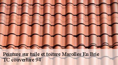 Peinture sur tuile et toiture marolles-en-brie-94440 Compagnons Alexandre