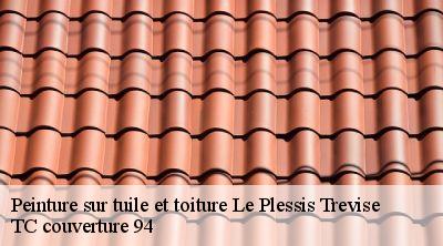 Peinture sur tuile et toiture le-plessis-trevise-94420 Compagnons Alexandre