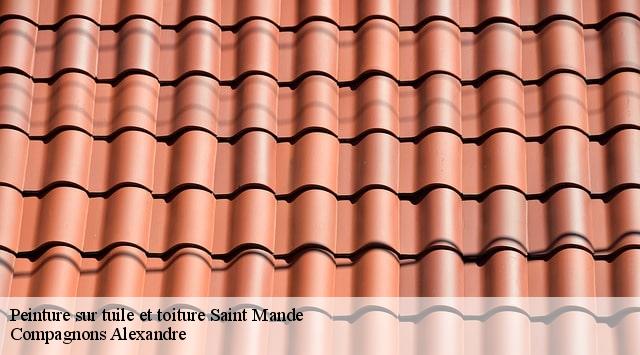 Peinture sur tuile et toiture  saint-mande-94160 Compagnons Alexandre