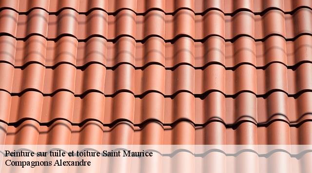 Peinture sur tuile et toiture  saint-maurice-94410 Compagnons Alexandre