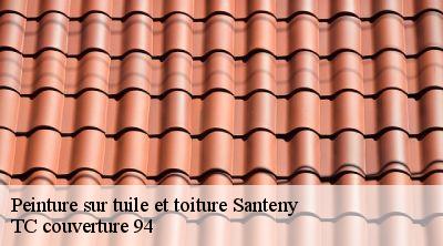 Peinture sur tuile et toiture santeny-94440 Compagnons Alexandre