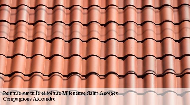 Peinture sur tuile et toiture  villeneuve-saint-georges-94190 Compagnons Alexandre
