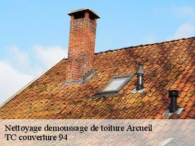 Nettoyage demoussage de toiture  arcueil-94110 Compagnons Alexandre