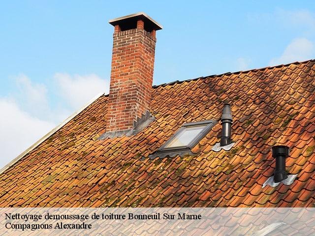 Nettoyage demoussage de toiture  bonneuil-sur-marne-94380 Compagnons Alexandre