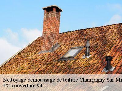 Nettoyage demoussage de toiture  champigny-sur-marne-94500 Compagnons Alexandre