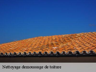 Nettoyage demoussage de toiture