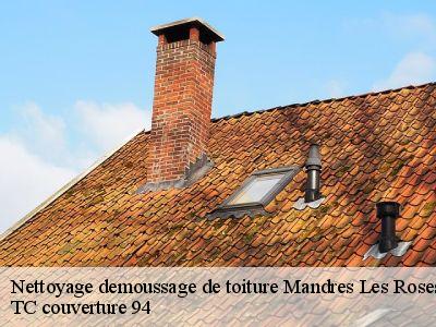Nettoyage demoussage de toiture mandres-les-roses-94520 Compagnons Alexandre