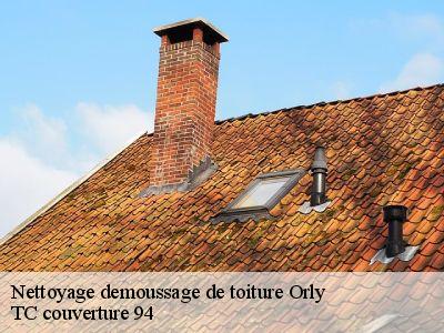 Nettoyage demoussage de toiture orly-94310 Compagnons Alexandre
