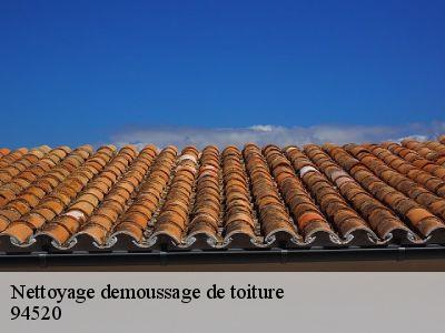Nettoyage demoussage de toiture 94520