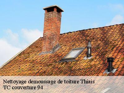 Nettoyage demoussage de toiture  thiais-94320 Compagnons Alexandre