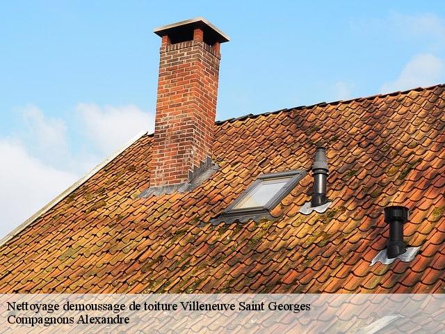 Nettoyage demoussage de toiture  villeneuve-saint-georges-94190 Compagnons Alexandre