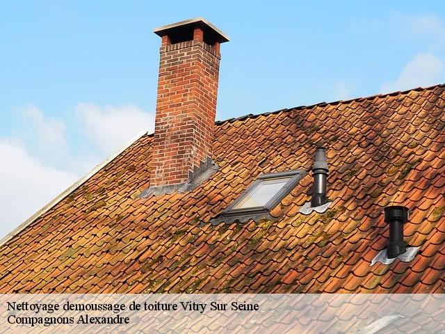 Nettoyage demoussage de toiture  vitry-sur-seine-94400 Compagnons Alexandre