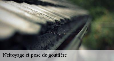 Nettoyage et pose de gouttière