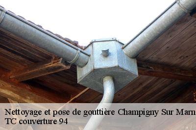 Nettoyage et pose de gouttière champigny-sur-marne-94500 Compagnons Alexandre