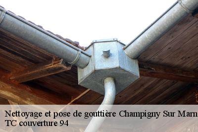 Nettoyage et pose de gouttière  champigny-sur-marne-94500 Compagnons Alexandre