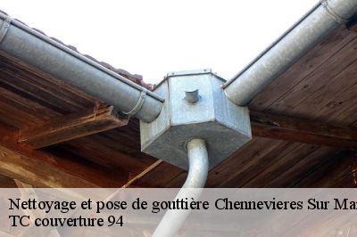 Nettoyage et pose de gouttière  chennevieres-sur-marne-94430 Compagnons Alexandre