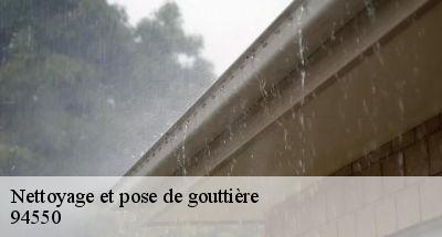 Nettoyage et pose de gouttière  94550