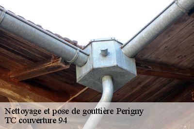 Nettoyage et pose de gouttière perigny-94520 Compagnons Alexandre